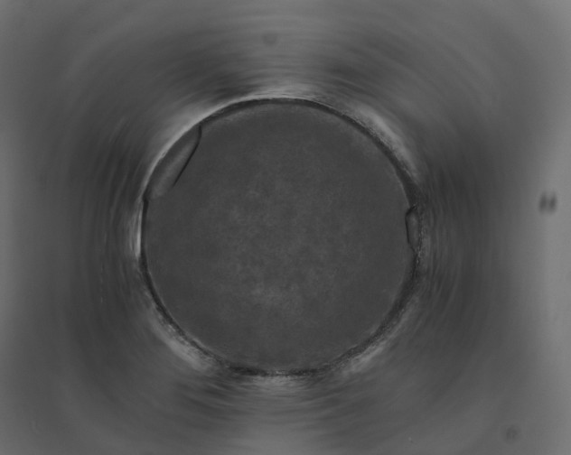 X0000094431276200711211424