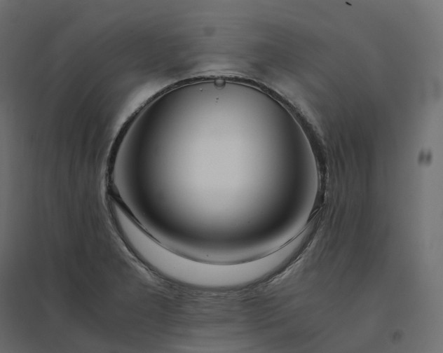 X0000094431277200711211424