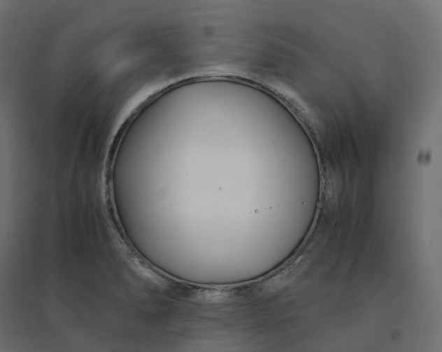 X0000094431278200711211424