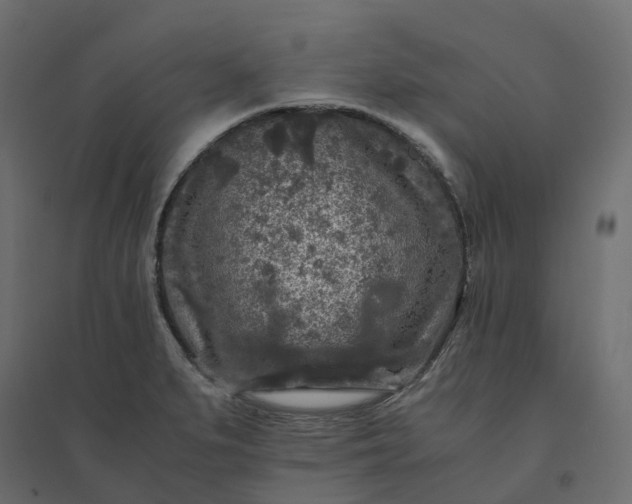 X0000094431279200711211424