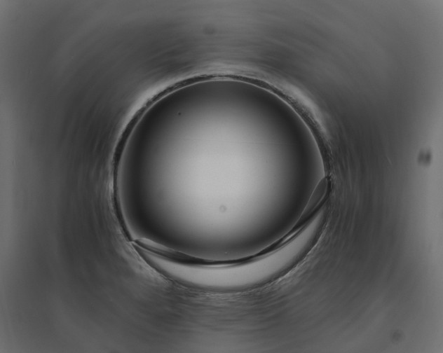 X0000094431280200711211424