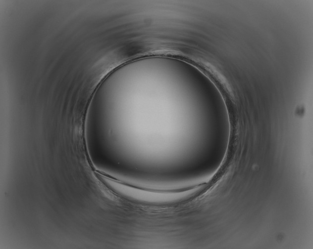 X0000094431281200711211424