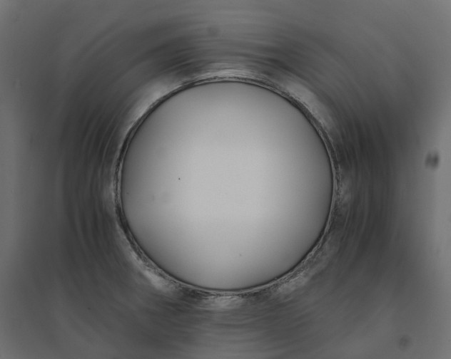 X0000094431282200711211424