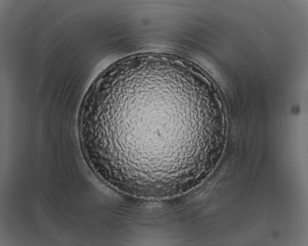 X0000094431283200711211424