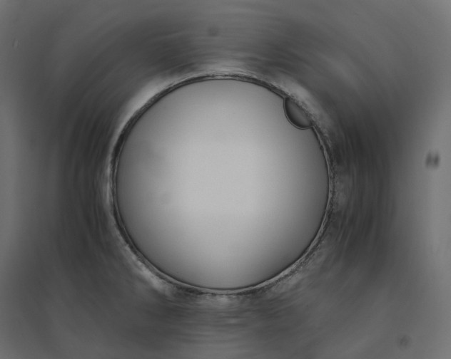 X0000094431286200711211424