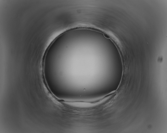 X0000094431287200711211424