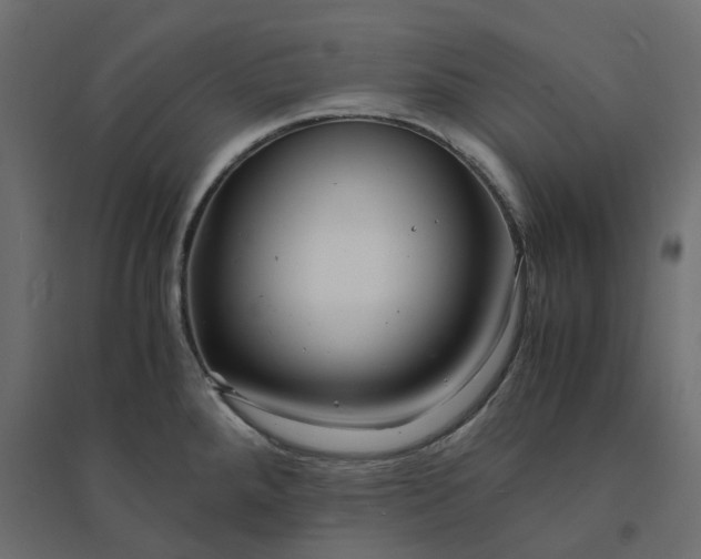X0000094431288200711211424