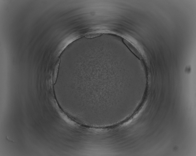 X0000094431289200711211424