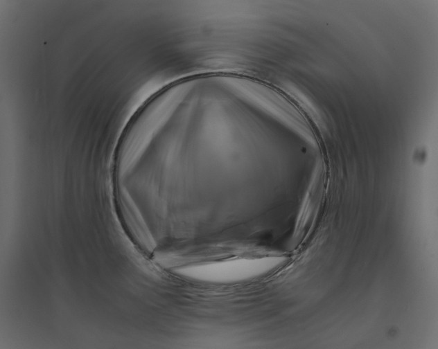 X0000094431291200711211424