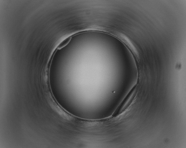 X0000094431292200711211424