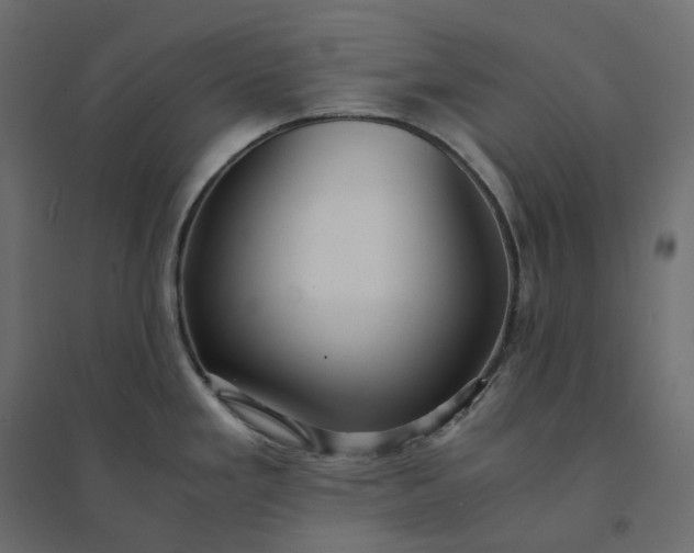 X0000094431293200711211424