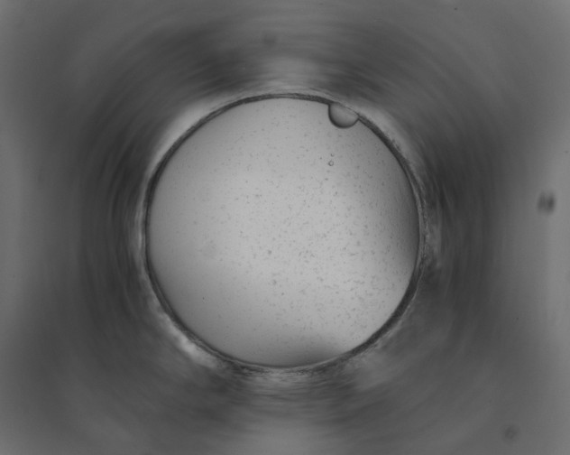 X0000094431294200711211424