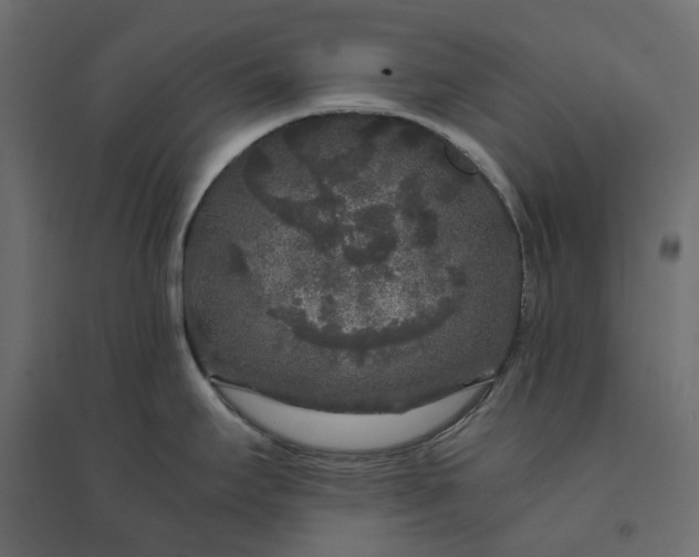 X0000094431295200711211424
