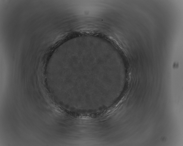 X0000094431297200711211423