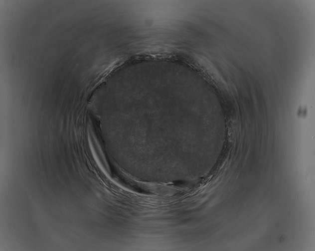 X0000094431298200711211423