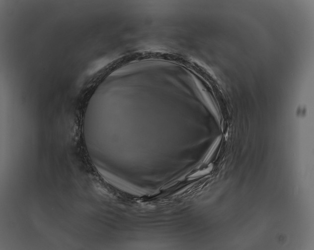 X0000094431303200711211424