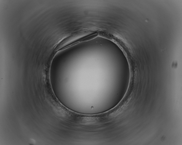 X0000094431305200711211424
