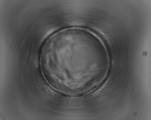 X0000094431306200711211424