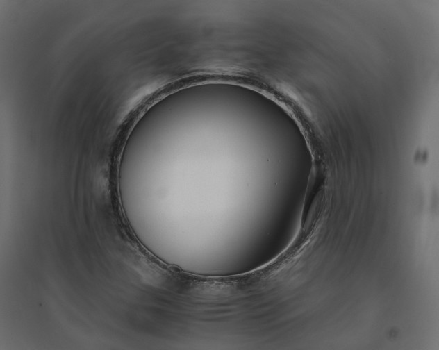 X0000094431307200711211424