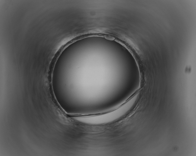X0000094431308200711211424