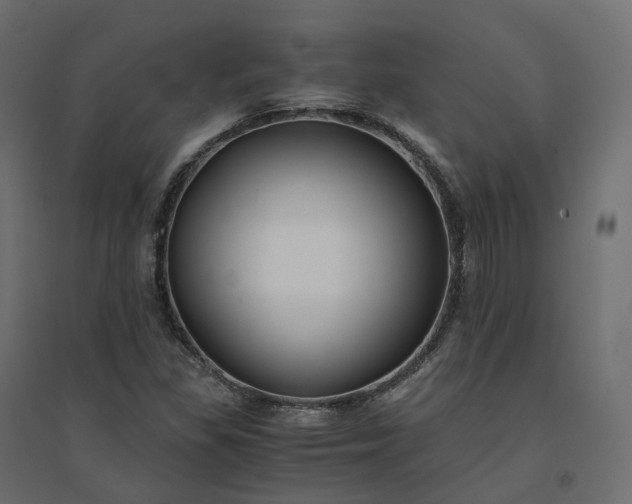 X0000094431309200711211424