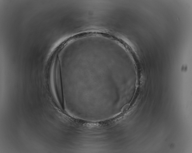 X0000094431310200711211424