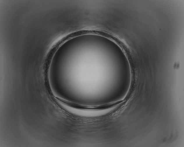 X0000094431311200711211424