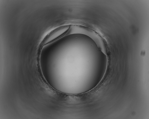 X0000094431312200711211424