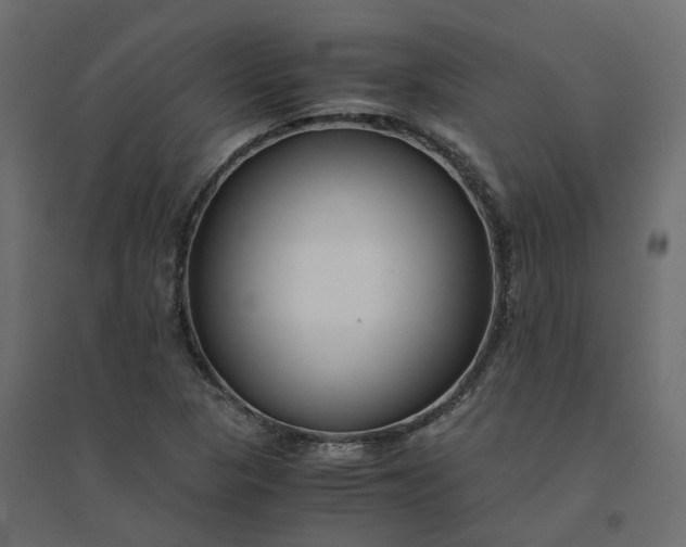 X0000094431313200711211424