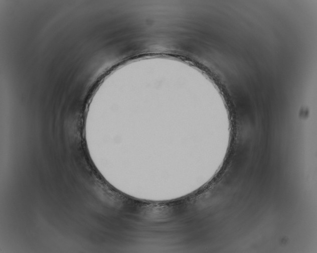 X0000094431314200711211424