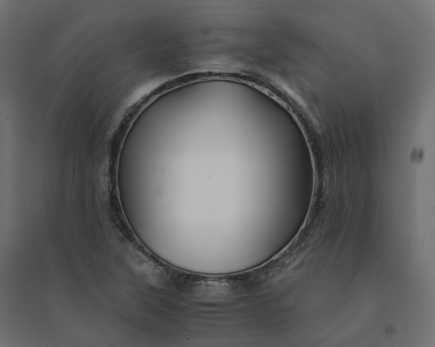 X0000094431315200711211424