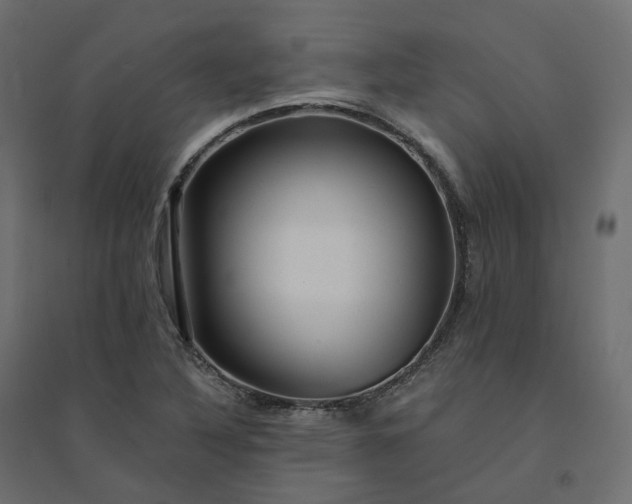 X0000094431316200711211424
