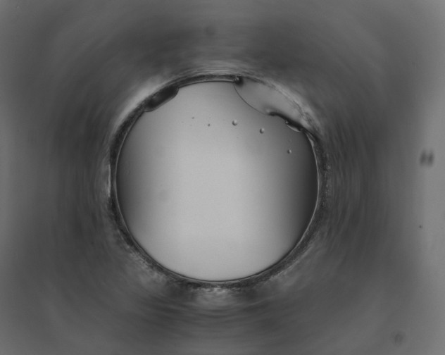 X0000094431317200711211424