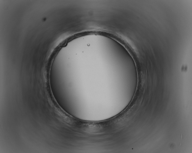 X0000094431318200711211424