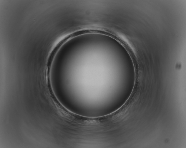X0000094431320200711211424