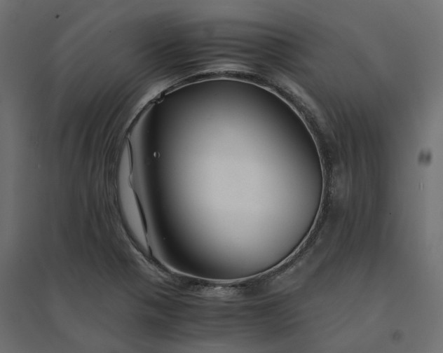 X0000094431321200711211424