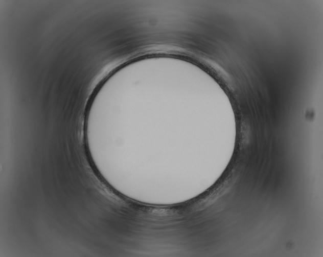 X0000094431322200711211424