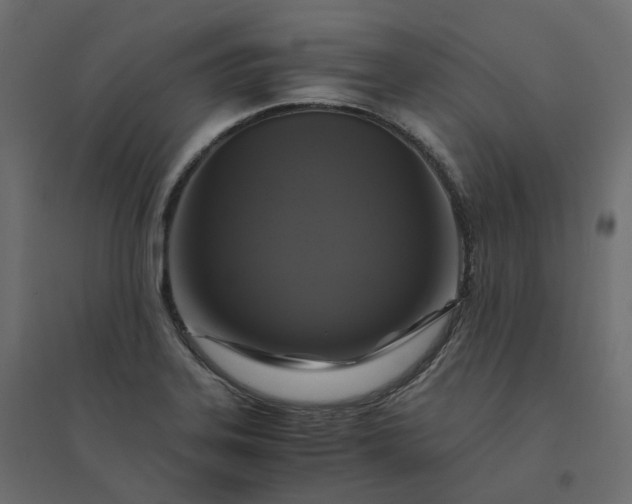 X0000094431323200711211424