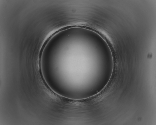 X0000094431324200711211424