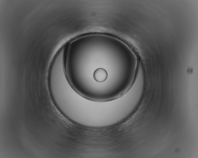 X0000094431326200711211424