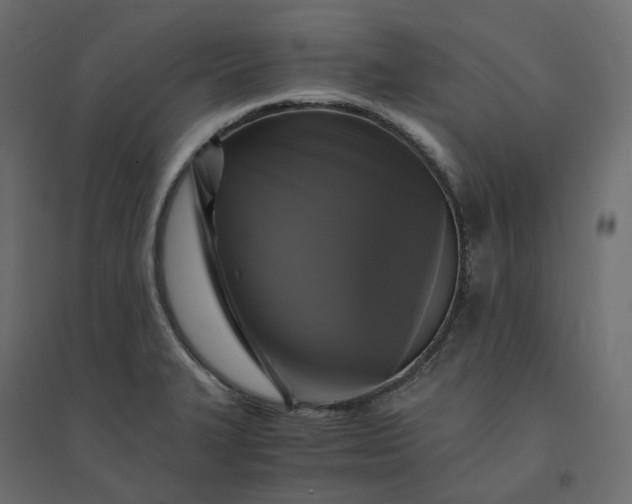 X0000094431327200711211424