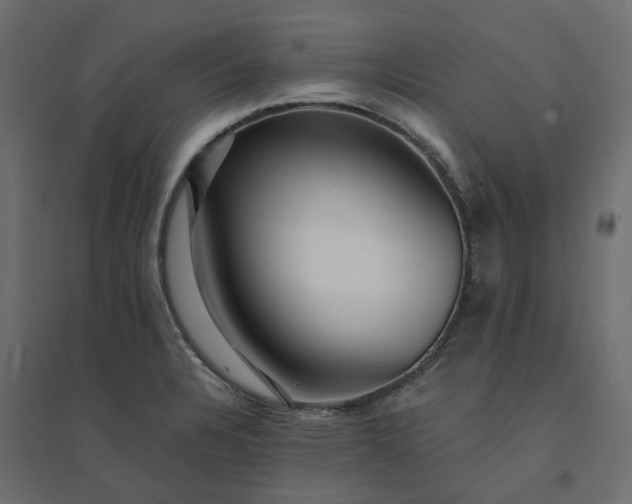 X0000094431328200711211424