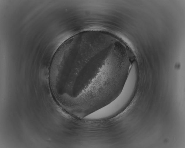 X0000094431329200711211424
