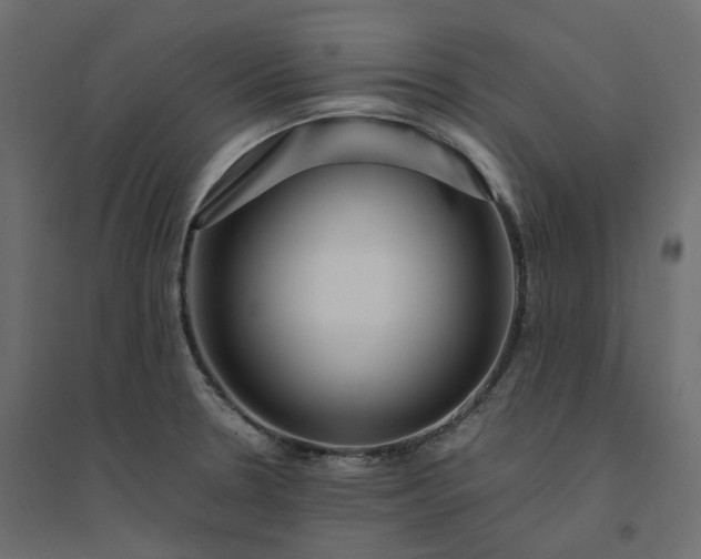 X0000094431330200711211424