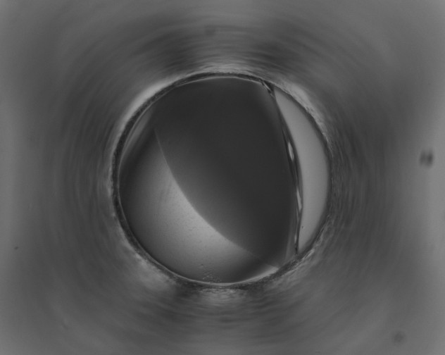 X0000094431331200711211424