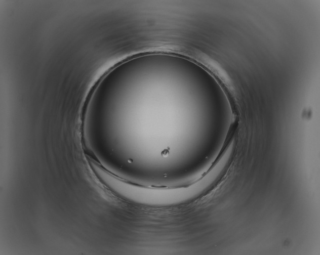 X0000094431332200711211424
