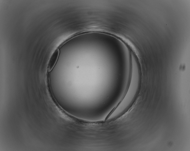 X0000094431333200711211424