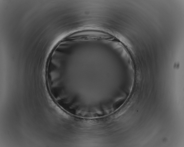 X0000094431334200711211424
