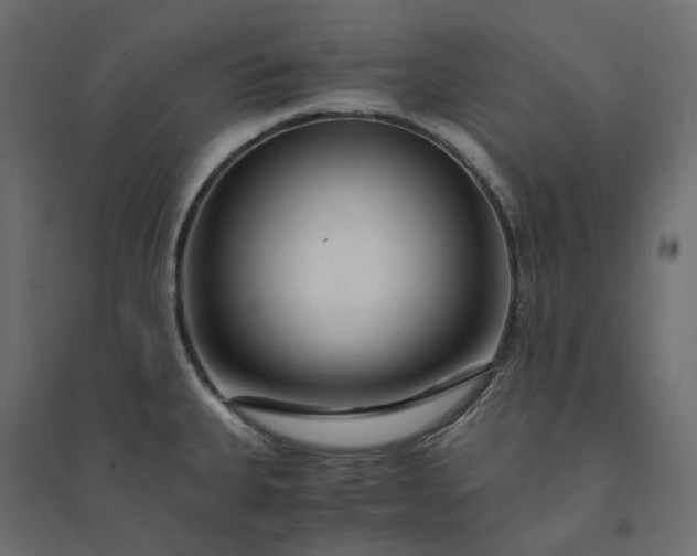 X0000094431335200711211424
