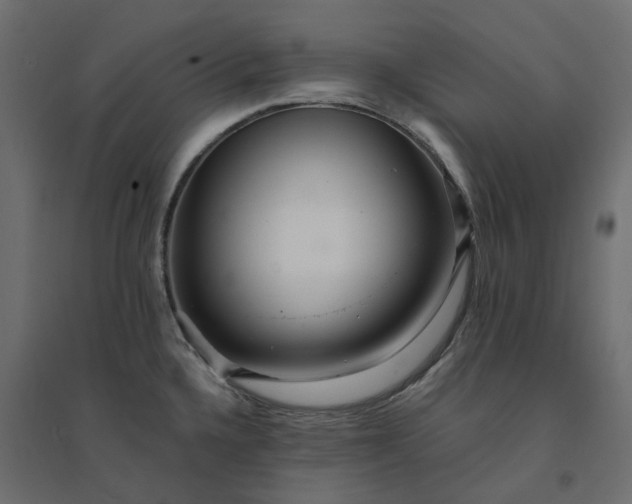 X0000094431336200711211424